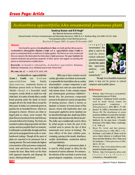 Article Acokanthera Oppositifolia Óan Ornamental Poisonous Plant