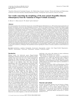 New Results Concerning the Morphology of the Most Ancient Dragon¯Ies (Insecta: Odonatoptera) from the Namurian of Hagen-Vorhalle (Germany)