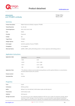 Anti-TP53BP1 Antibody (ARG42491)