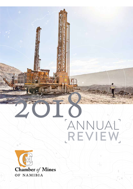 2018 Annual Review