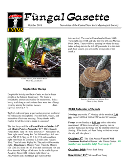 October 2018 Newsletter of the Central New York Mycological Society ______