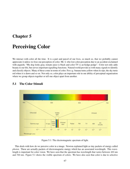 Perceiving Color