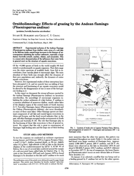 Ornitholimnology: Effects of Grazing by the Andean Flamingo (Phoenicoparrus Andinus) (Predation/Surirella/Lacustrine Microbenthos) STUART H