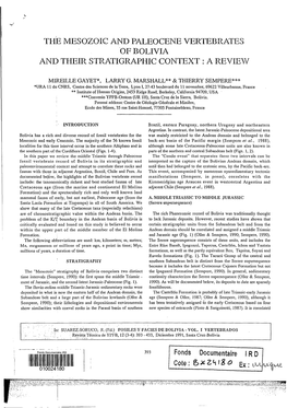 The Mesozoic and Paleocene Vertebrates of Bolivia and Their Stratigraphic Context : a Review