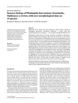 Sensory Biology of Phalangida Harvestmen (Arachnida, Opiliones): a Review, with New Morphological Data on 18 Species Rodrigo H