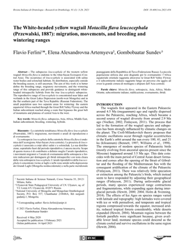 The White-Headed Yellow Wagtail Motacilla Flava Leucocephala (Przewalski, 1887): Migration, Movements, and Breeding and Wintering Ranges