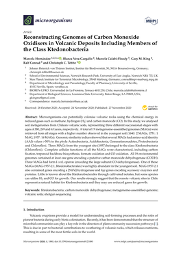 Reconstructing Genomes of Carbon Monoxide Oxidisers in Volcanic Deposits Including Members of the Class Ktedonobacteria