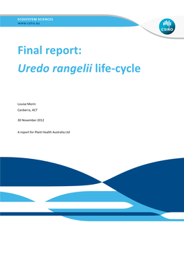 Uredo Rangelii Life Cycle