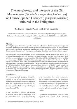 The Morphology and Life Cycle of the Gill Monogenean (Pseudorhabdosynochus Lantauensis) on Orange-Spo�Ed Grouper (Epinephelus Coioides) Cultured in the Philippines