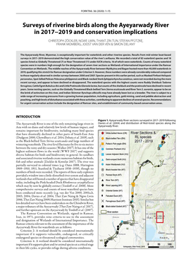 Surveys of Riverine Birds Along the Ayeyarwady River in 2017−2019 and Conservation Implications