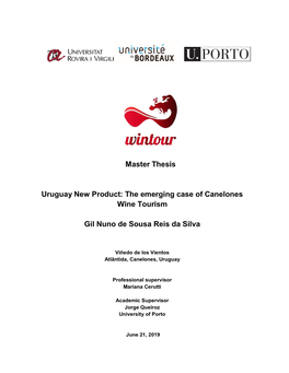 Master Thesis Uruguay New Product: the Emerging Case of Canelones