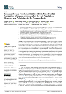 Paracoccidioides Brasiliensis Isolated from Nine-Banded Armadillos (Dasypus Novemcinctus) Reveal Population Structure and Admixture in the Amazon Basin