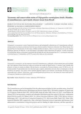 Commelinaceae), a Previously Obscure Taxon from Brazil