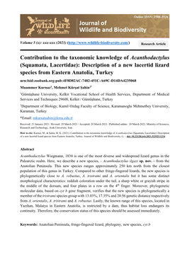 Contribution to the Taxonomic Knowledge of Acanthodactylus