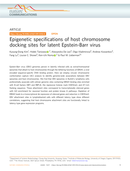 Epigenetic Specifications of Host Chromosome Docking Sites for Latent