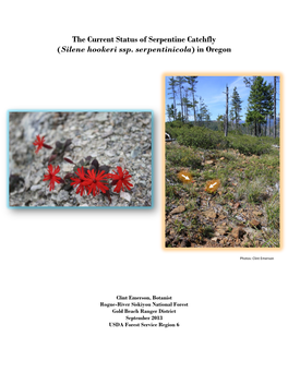 The Current Status of Serpentine Catchfly (Silene Hookeri Ssp. Serpentinicola) in Oregon