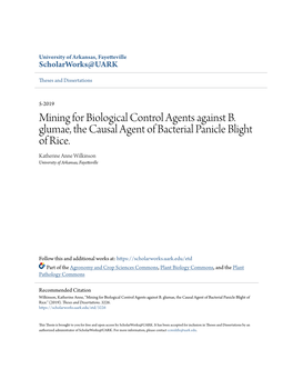 Mining for Biological Control Agents Against B. Glumae, the Causal Agent of Bacterial Panicle Blight of Rice