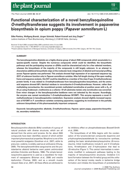 Functional Characterization of a Novel Benzylisoquinoline O