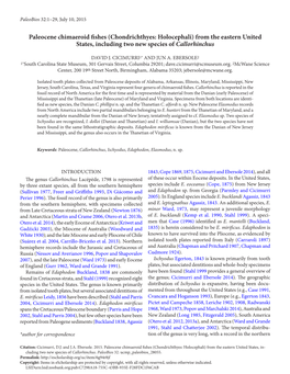 Paleocene Chimaeroid Fishes (Chondrichthyes: Holocephali) from the Eastern United States, Including Two New Species of Callorhinchus