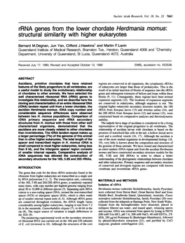 Rrna Genes from the Lower Chordate Herdmania Momus: Structural Similarity with Higher Eukaryotes