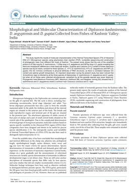 Morphological and Molecular Characterization of Diplozoon Kashmirensis; D