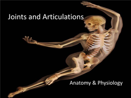 The Thoracic Cage