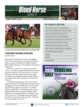 2015 YEARLING the Stars and Stripes Stakes (Gr