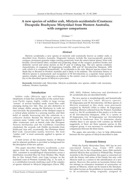A New Species of Soldier Crab, Mictyris Occidentalis (Crustacea: Decapoda: Brachyura: Mictyridae) from Western Australia, with Congener Comparisons