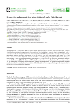 Resurrection and Emended Description of Sciaphila Major (Triuridaceae)