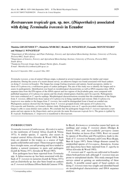 Rostraureum Tropicale Gen. Sp. Nov. (Diaporthales) Associated with Dying Terminalia Ivorensis in Ecuador