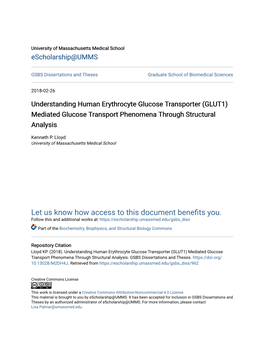 Understanding Human Erythrocyte Glucose Transporter (GLUT1) Mediated Glucose Transport Phenomena Through Structural Analysis