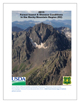 Cover Photo of Mount Sneffels; a Colorado “Fourteener” Mountain, Ouray County, Uncompahgre National Forest (By Justin Hof, 2013)