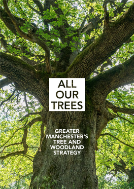 All Our Trees – Greater Manchester's Tree and Woodland Strategy