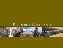 Bighorn Wildland