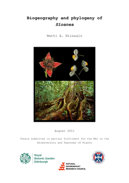 Biogeography and Phylogeny of Sloanea