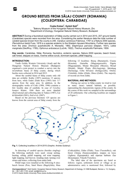 Ground Beetles from Sălaj County (Romania) (Coleoptera: Carabidae)