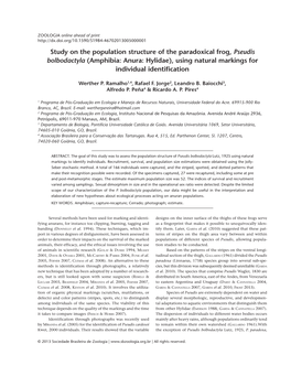 Study on the Population Structure of the Paradoxical Frog, Pseudis Bolbodactyla (Amphibia: Anura: Hylidae), Using Natural Markings for Individual Identification