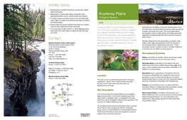 Kootenay Plains Ecological Reserve Protects Intersected by the Siffleur and North Saskatchewan Rivers, • If You See Signs of Bear Activity (I.E