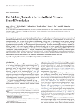 Theink4a/Arflocus Is a Barrier to Direct Neuronal Transdifferentiation