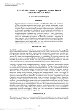 Calcimicrobe Tubules in Uppermost Jurassic Arab-A Carbonates of Saudi Arabia