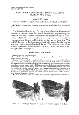 A New Cydia (Lepidoptera: Tortricidae) from Florida and Cuba