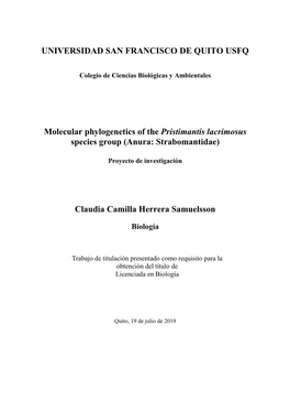 Molecular Phylogenetics of the Pristimantis Lacrimosus Species Group (Anura: Strabomantidae)