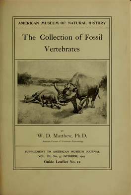 The Collection of Fossil Vertebrates