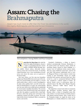 Assam: Chasing the Brahmaputra