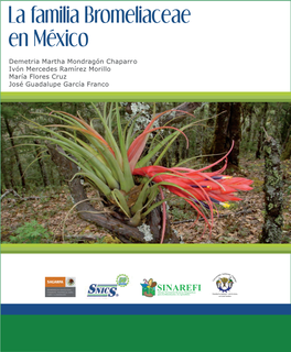 La Familia Bromeliaceae En México