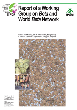 Report of a Working Group on Beta and World Beta Network
