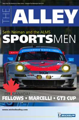 Fellows • Marcelli • Gt3 Cup