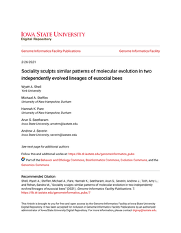 Sociality Sculpts Similar Patterns of Molecular Evolution in Two Independently Evolved Lineages of Eusocial Bees