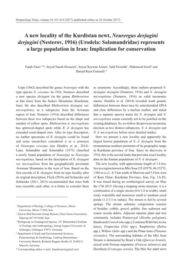 A New Locality of the Kurdistan Newt, Neurergus Derjugini Derjugini (Nesterov, 1916) (Urodela: Salamandridae) Represents a Large