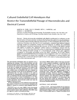 Cultured Endothelial Cell Monolayers That Restrict the Transendothelial Passage of Macromolecules and Electrical Current